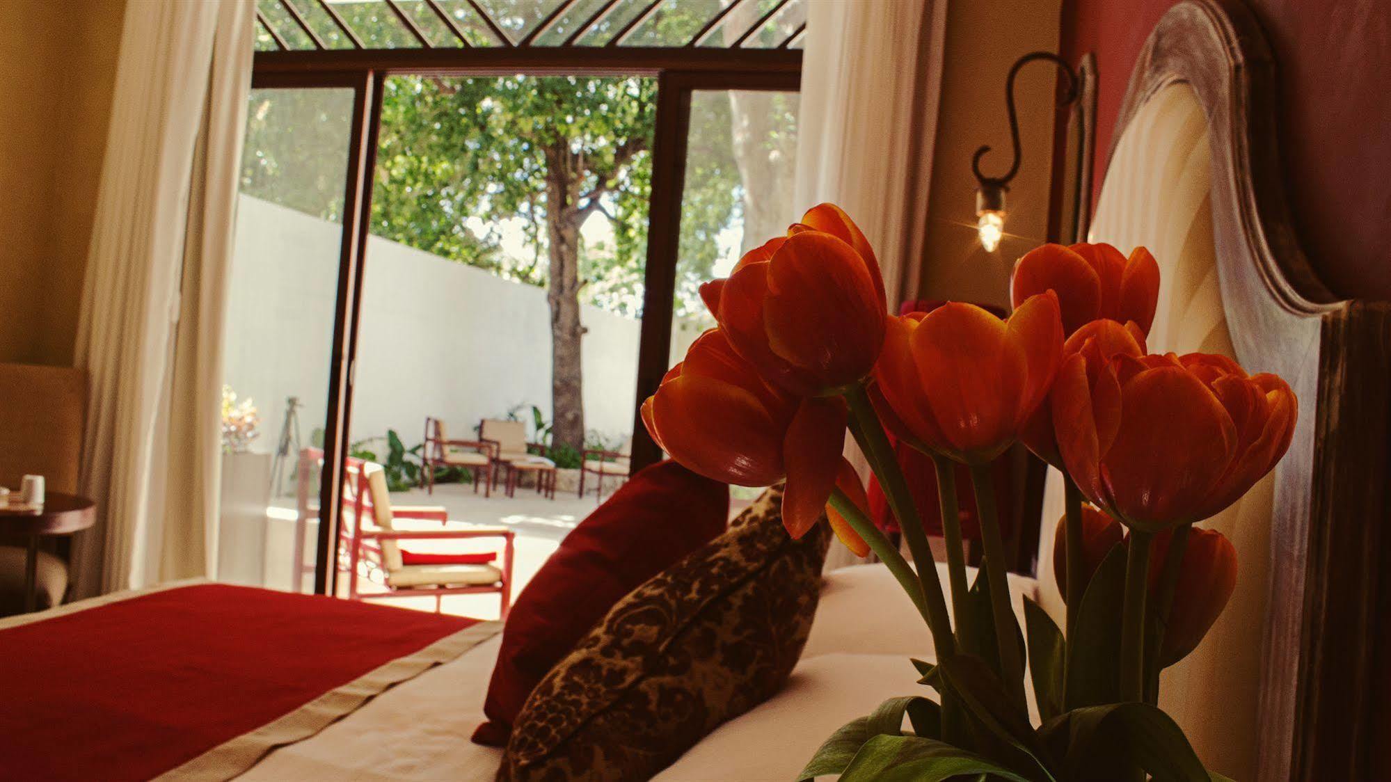 Casa Italia Luxury Guest House - Adults Only Merida Exterior photo